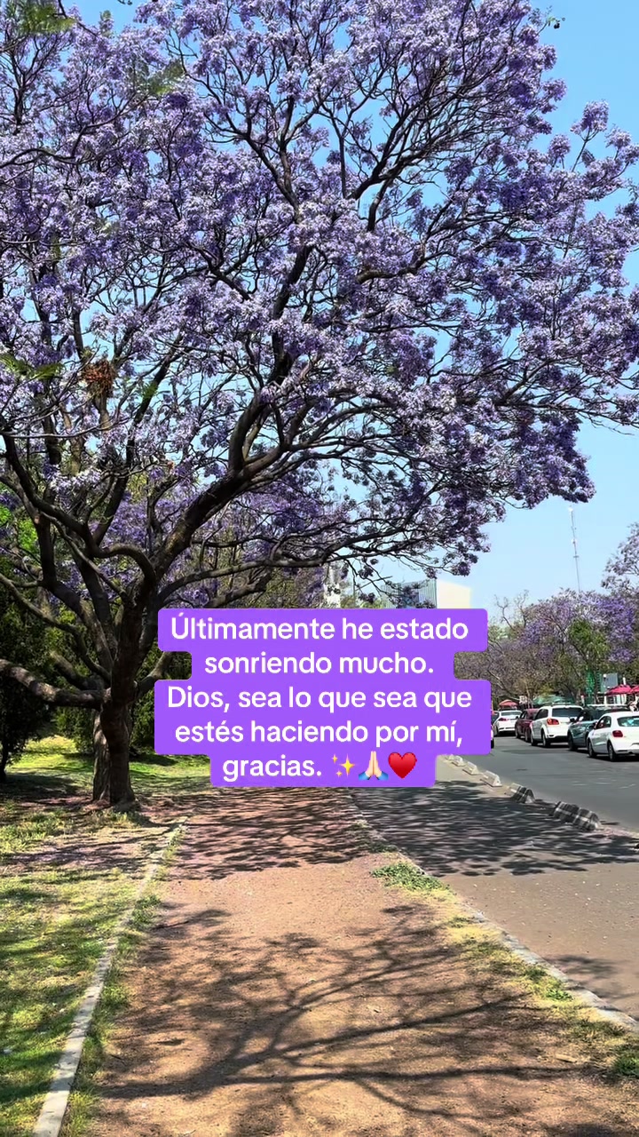 @Angeles Sandoval