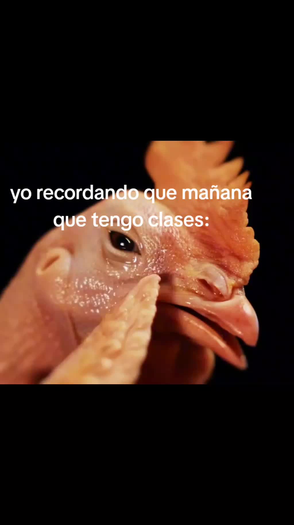 @vee_gamer67