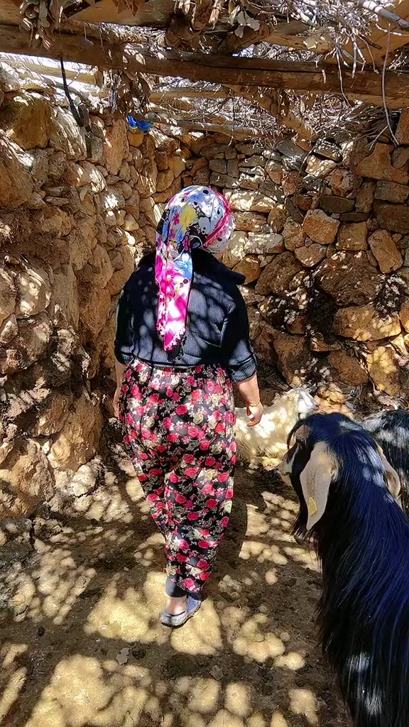 @Çiğdem Andiç