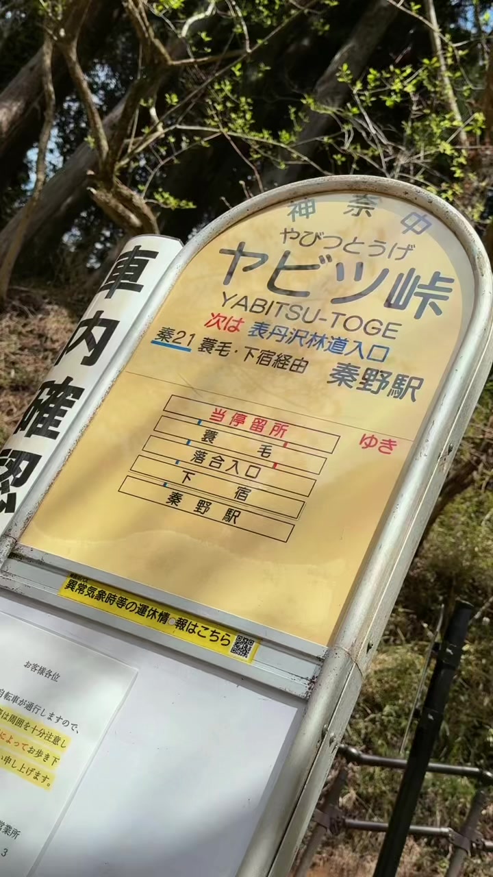@saito