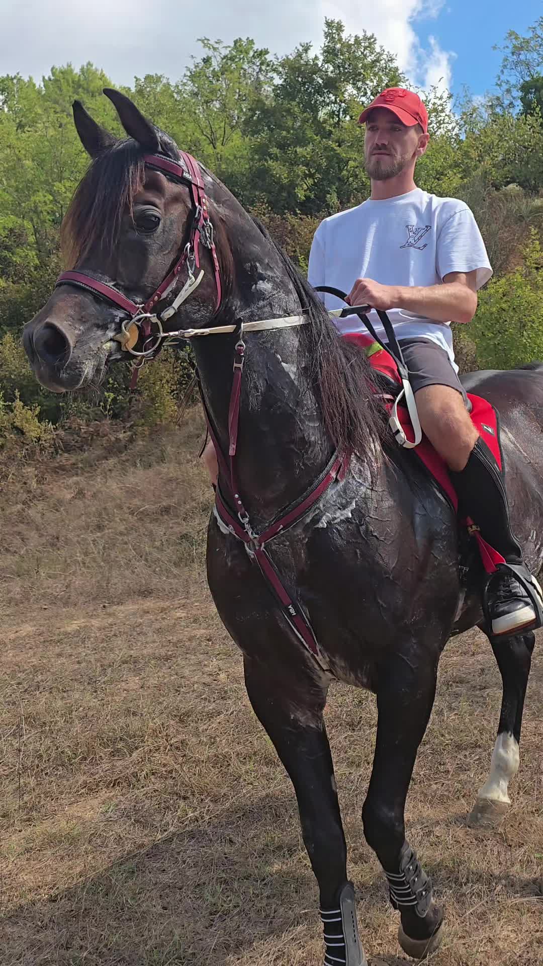 @Horse Training Center Albania