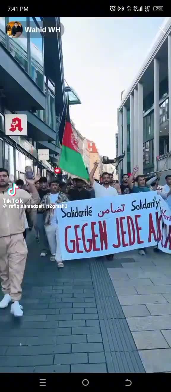 @Kashmir Afghan