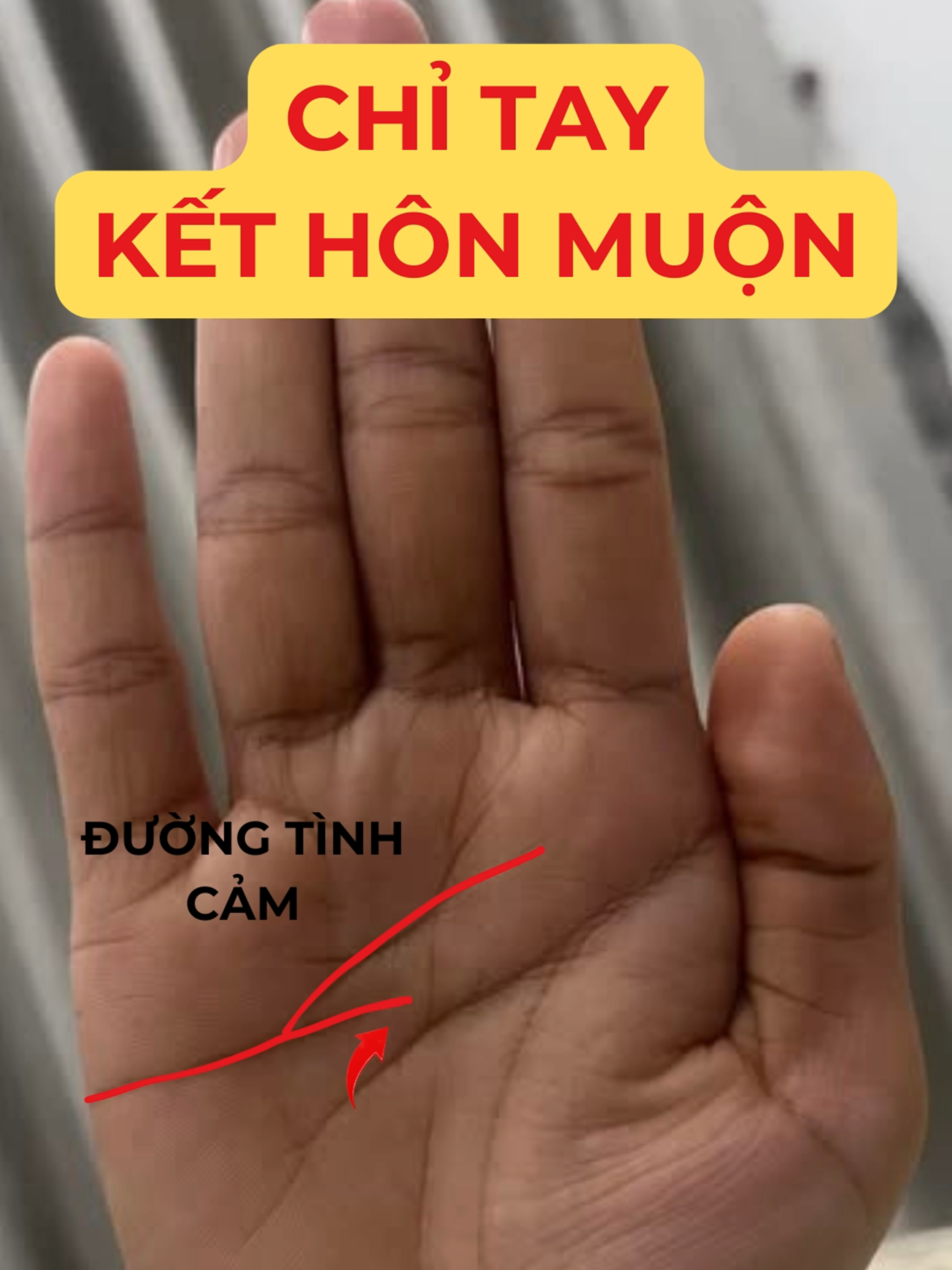 @Học Xem Chỉ Tay