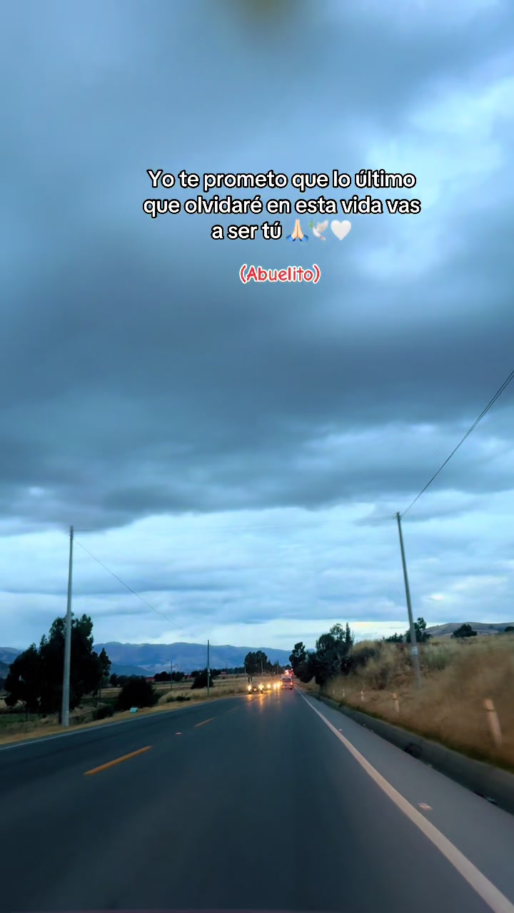 @🦄Misee ❤️🩹