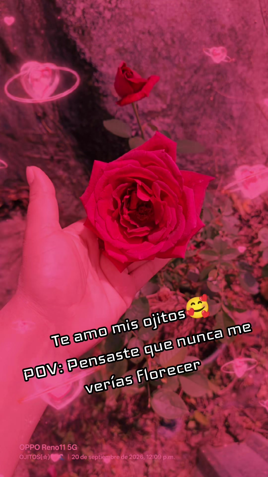 @᭄🔥J̳o̳s̳e̳l̳i̳n̳❤️❥❥═