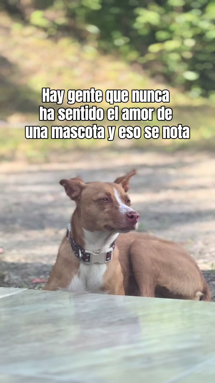 @Fer 🧡