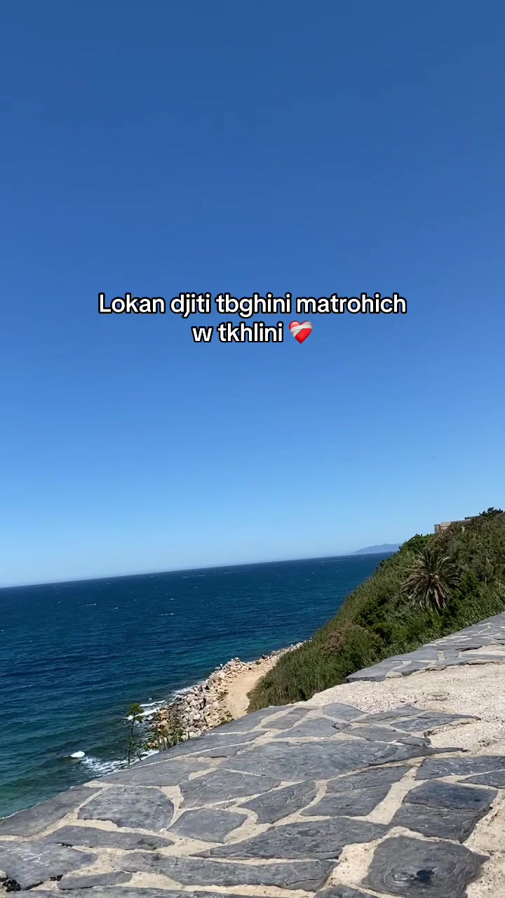 @🤍