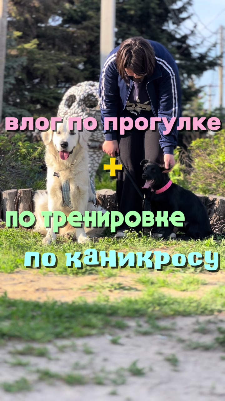 @𐔤ɯᥲᥴⲧыύ ⲙᥲρ᥈υ🥏
