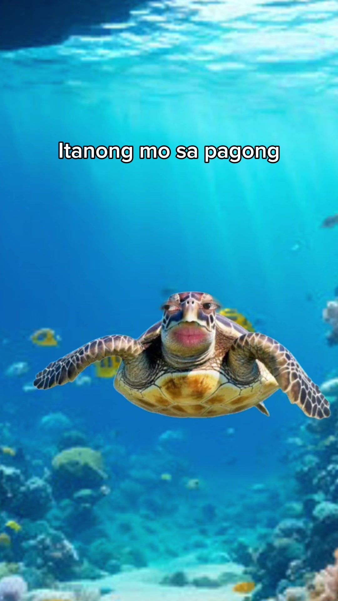 @BAET