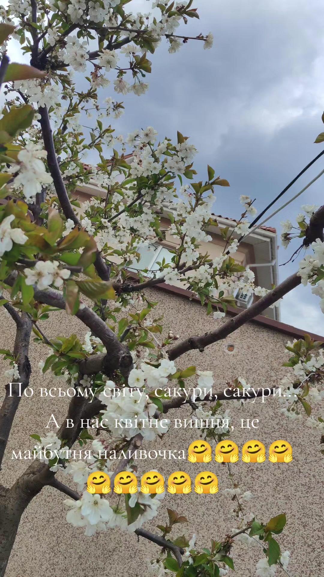 @Міледі ✓✓✓