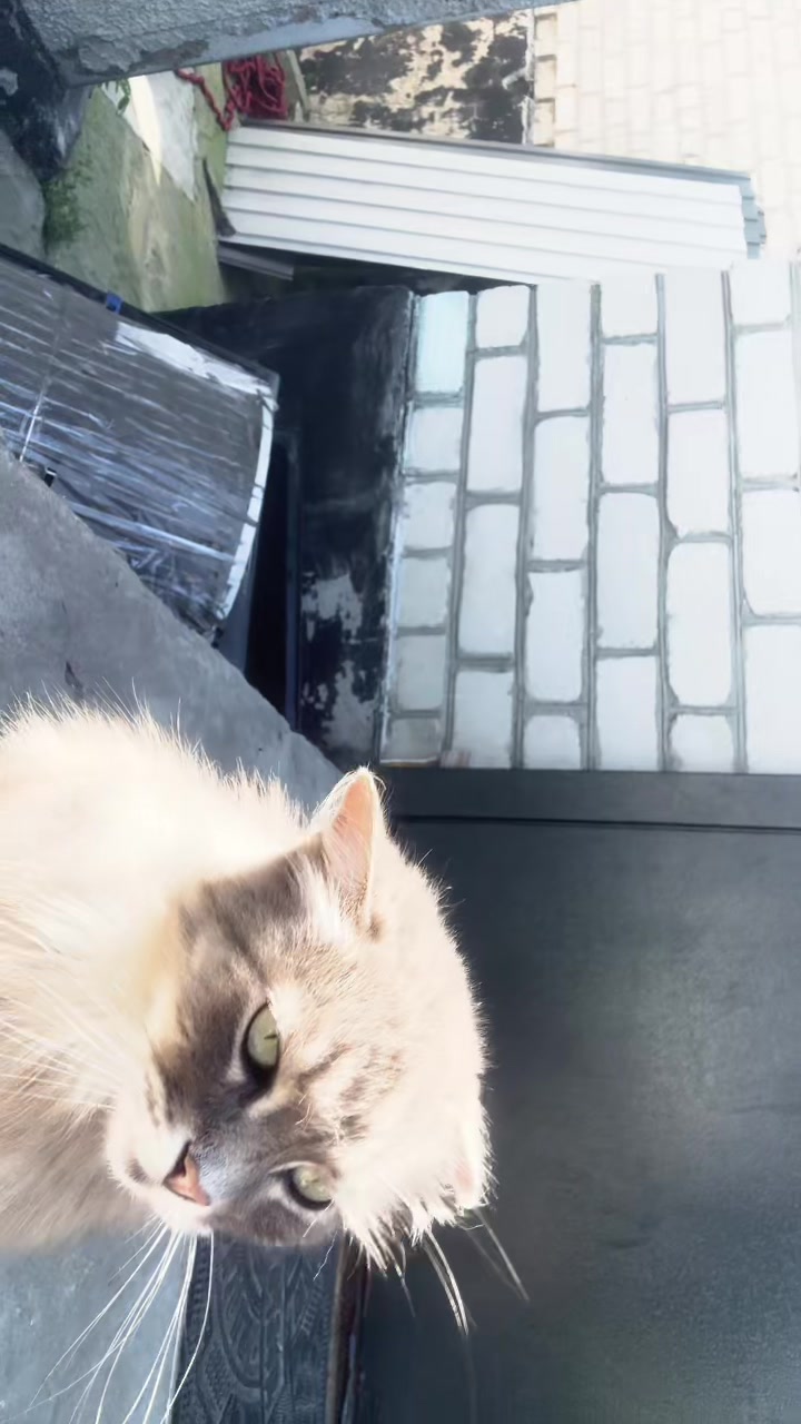 @타냐