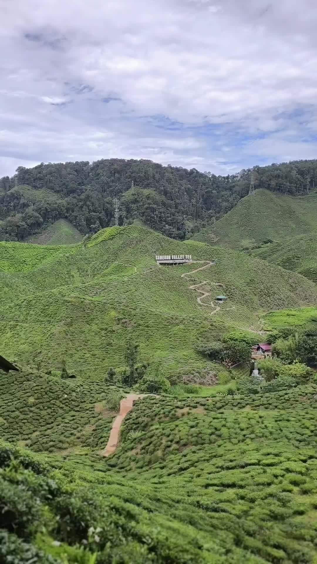 @fascinatingkl