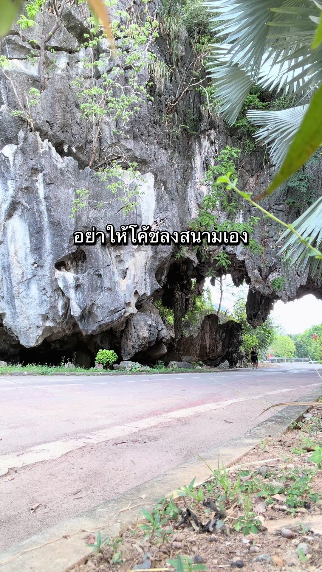 @ไอซ์รักธรรมชาติ