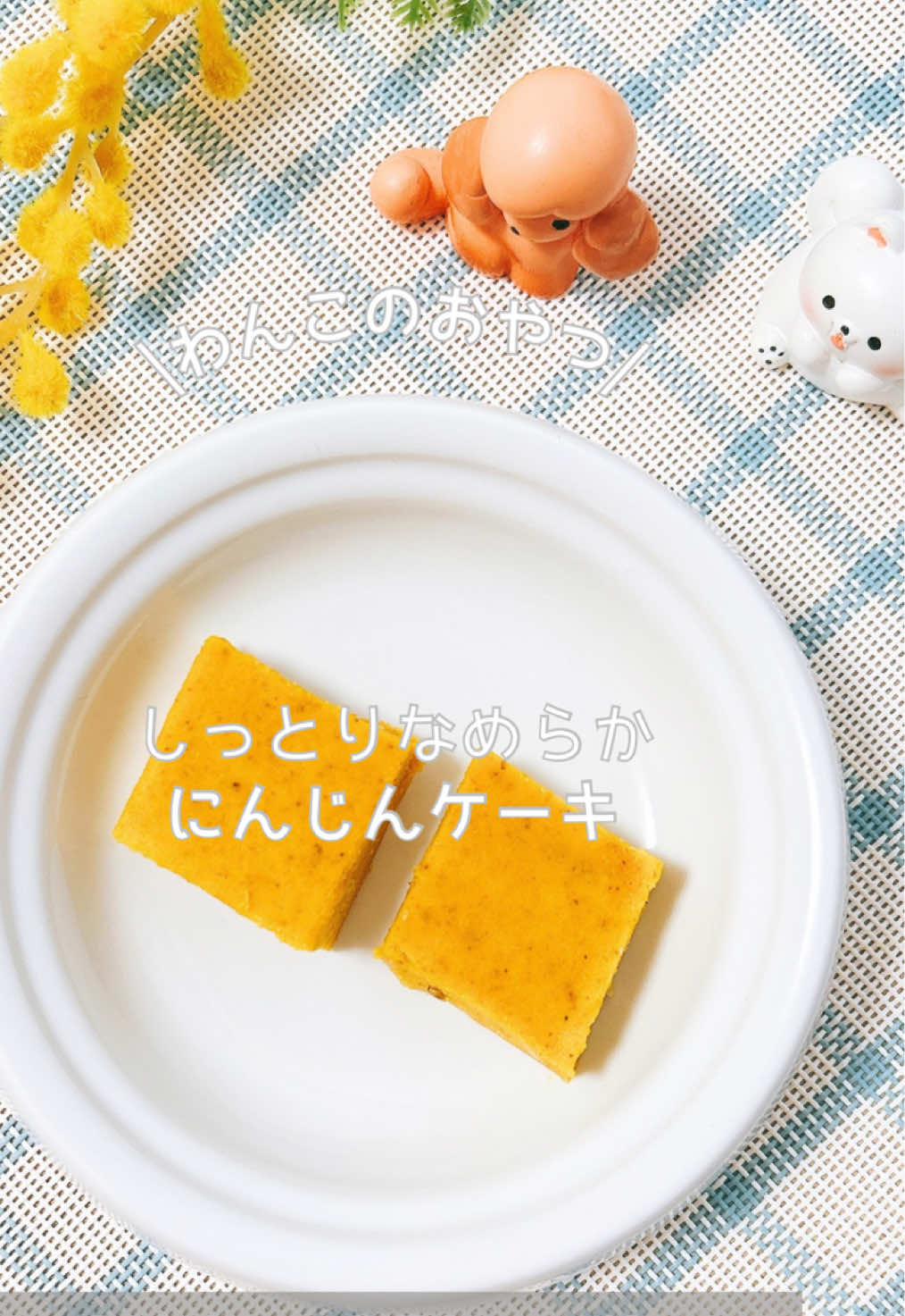 @ゆきえもん|手作り愛犬おやつ