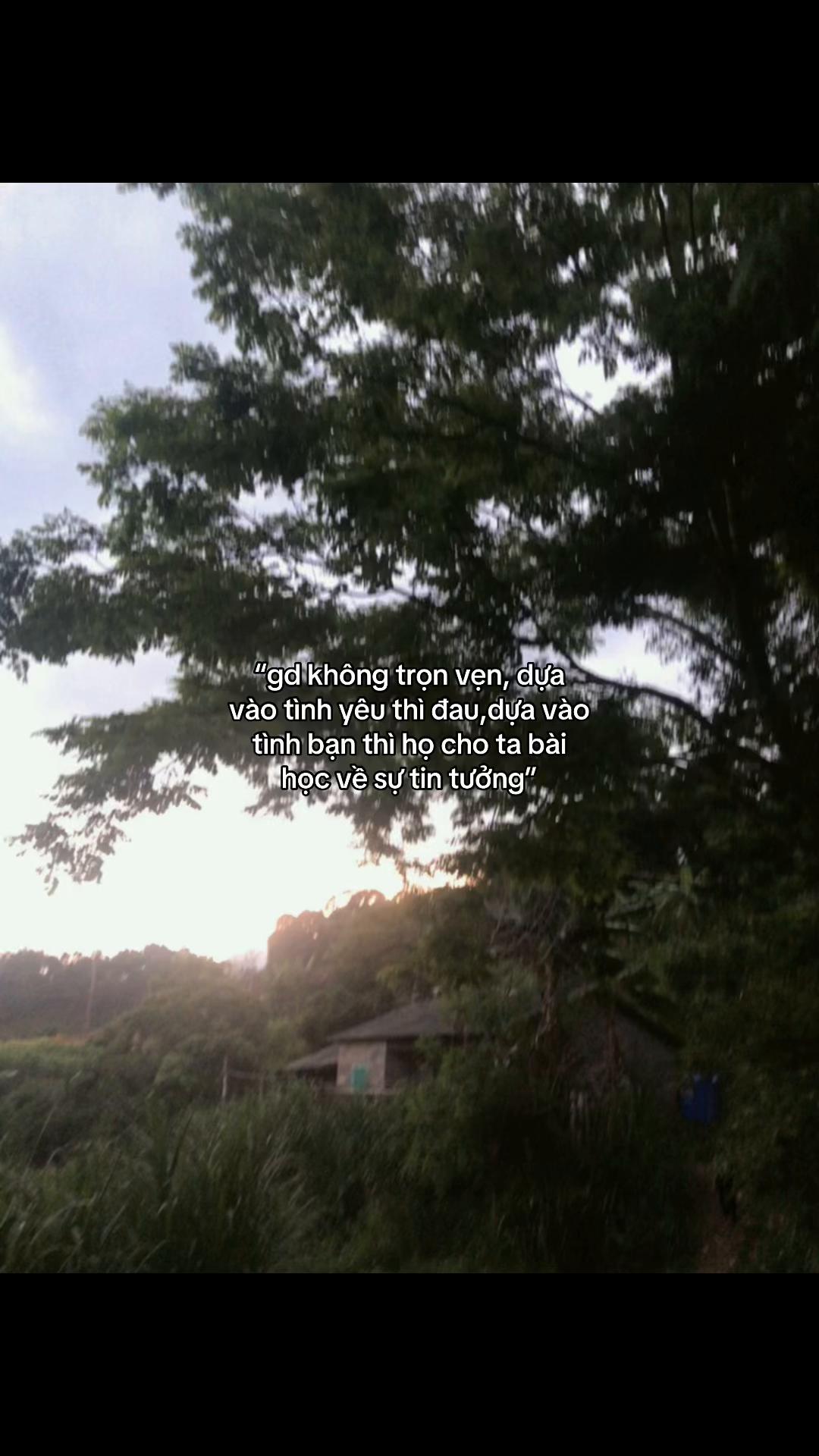 @cảm x&uacute;c