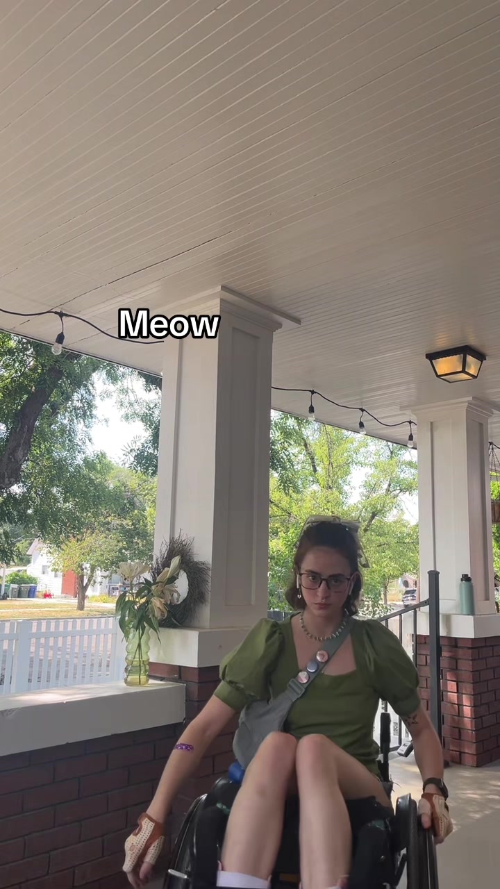 @🎻🌈🦓