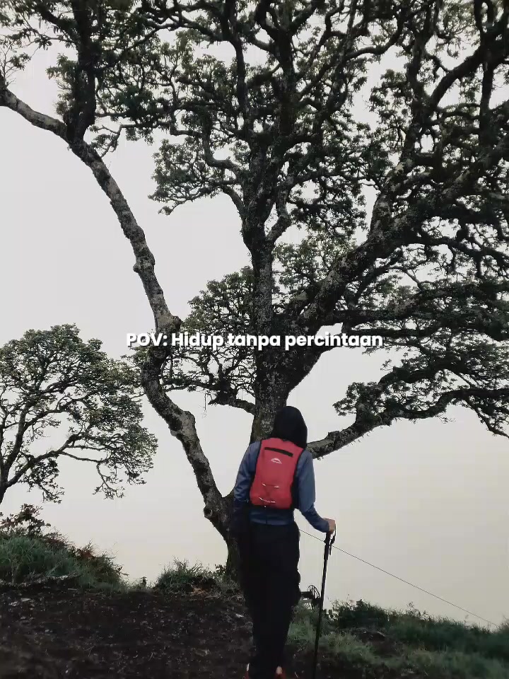 @minsoki