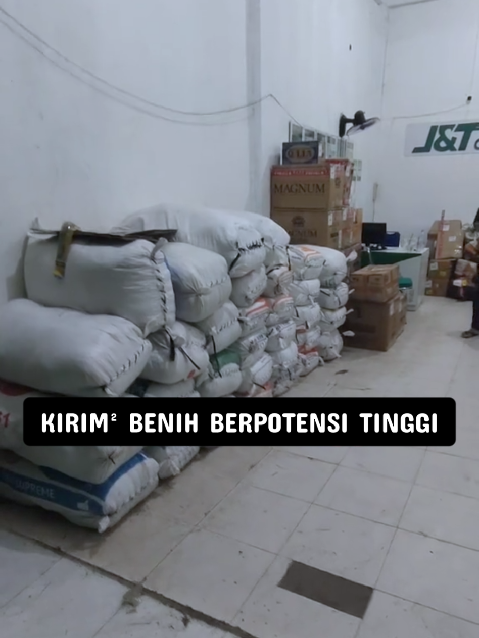 @SAFWADI BENIH UNGGUL