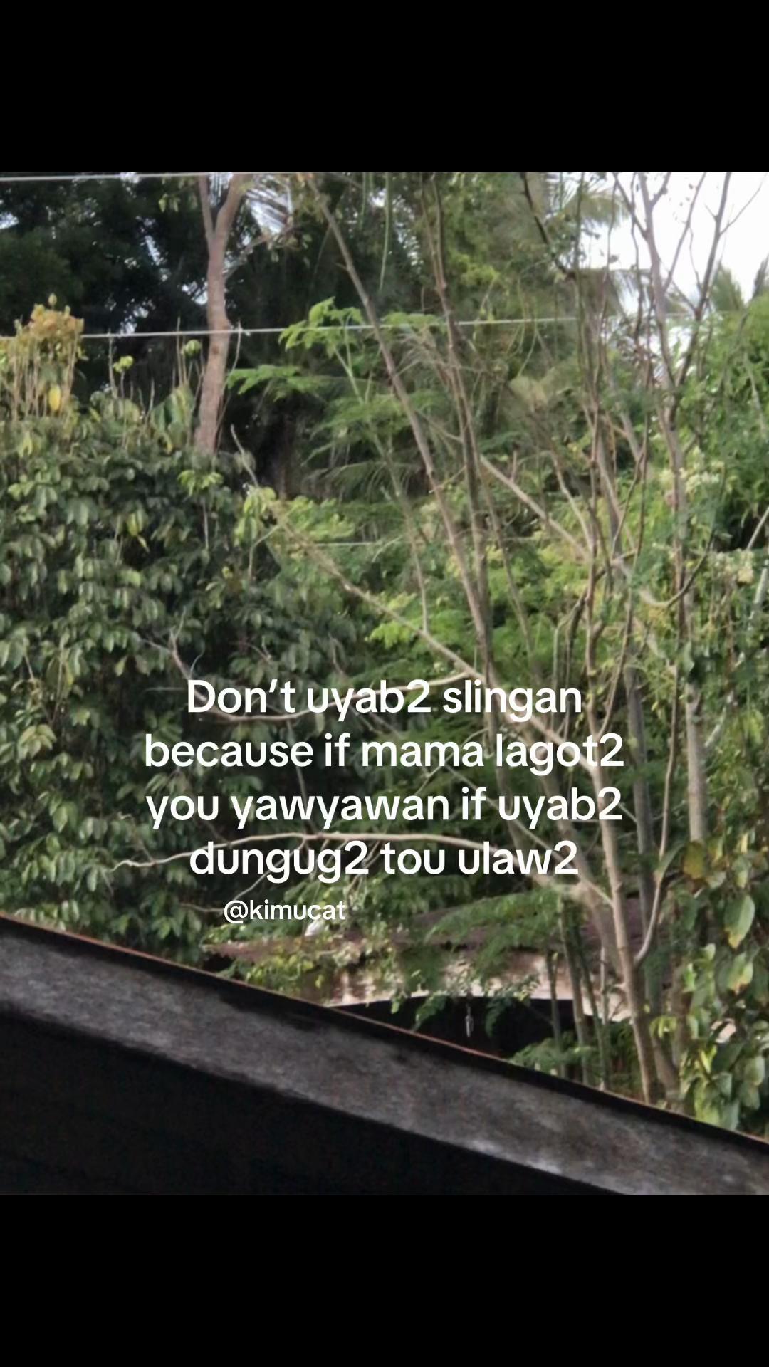 @leomel💤