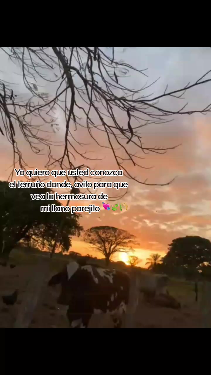 @𝓡𝓮𝓲𝓶𝓲 𝓡.⚡.
