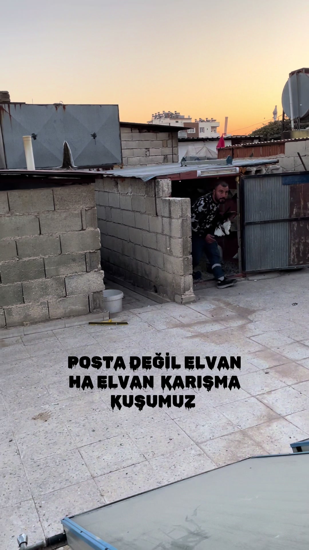 @🕊️Elvancı Celal 🕊️