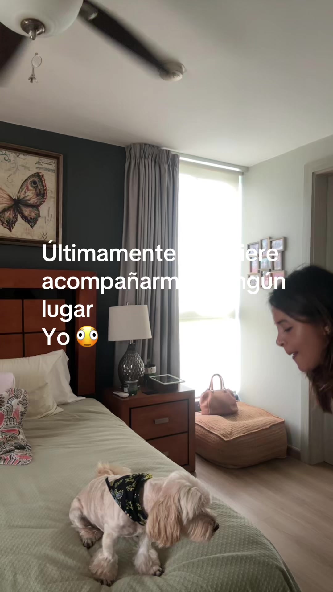 @Beyli