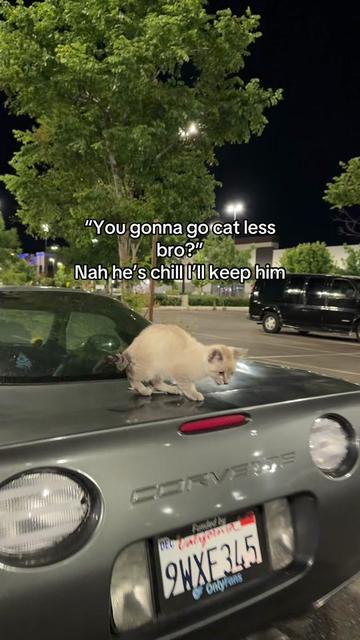 @nai