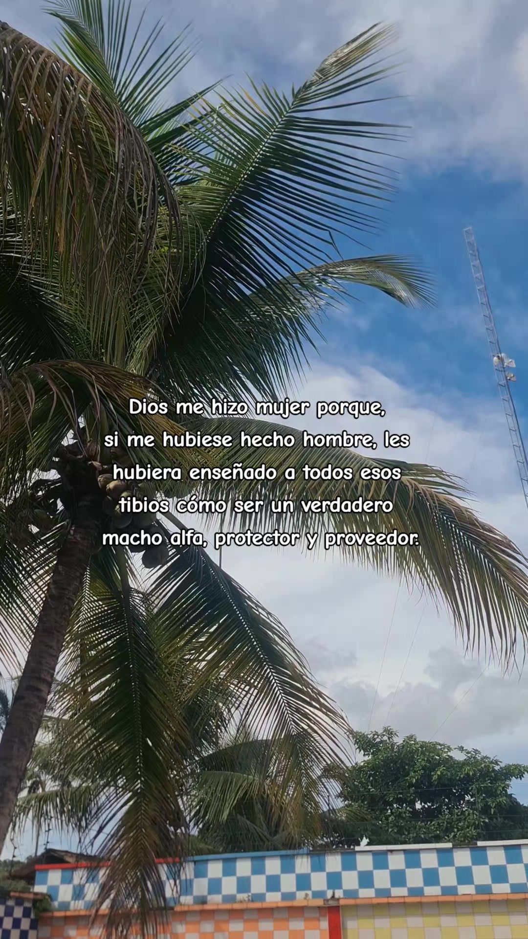@Rosa Nagaky