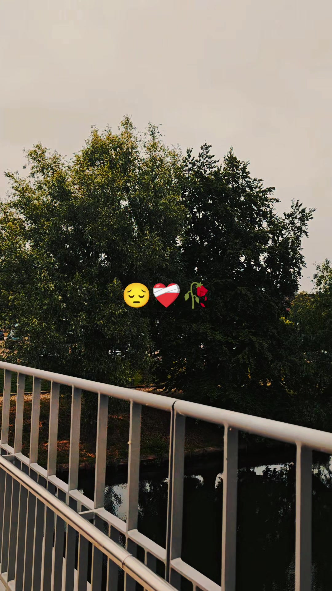 @رشو رشي❤️🩹🥀😔
