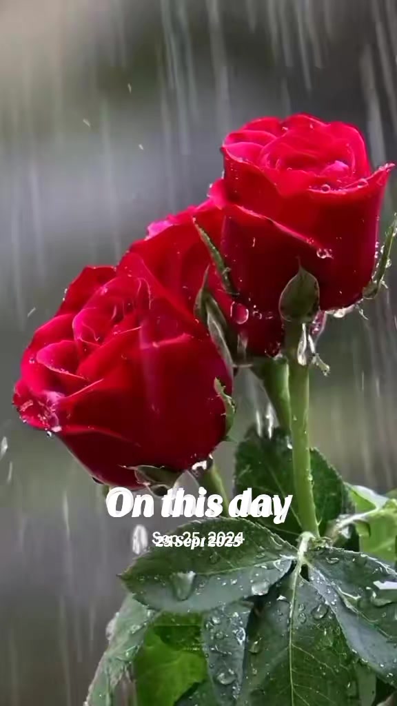 @Irshad Shaikh