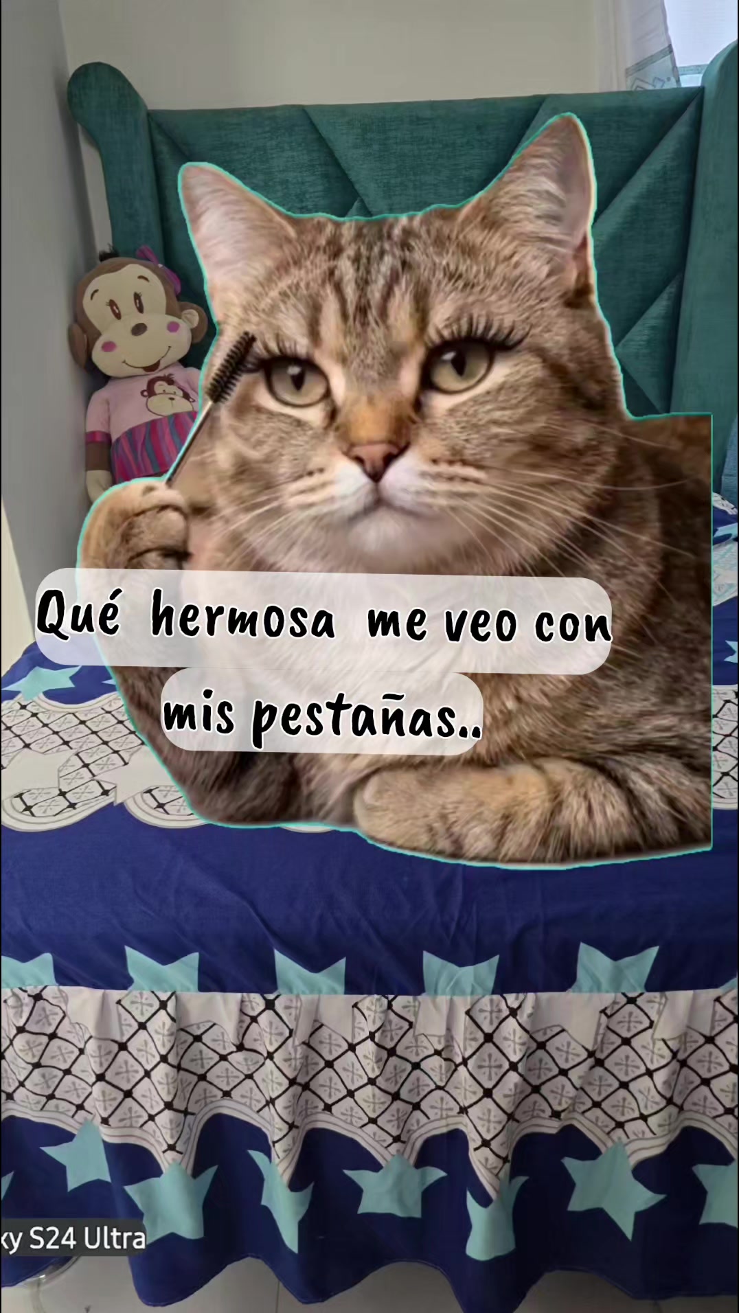 @Barbara Roo