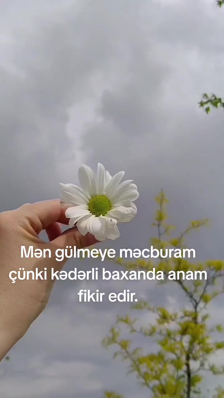 @Zaraiftixar94