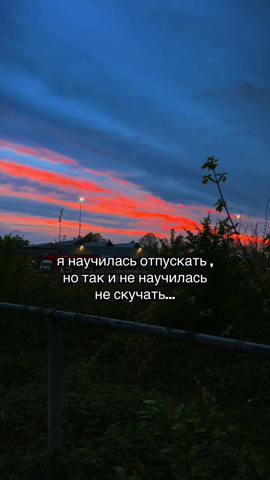 @♡ 𝕞𝕚𝕟𝕚 ♡