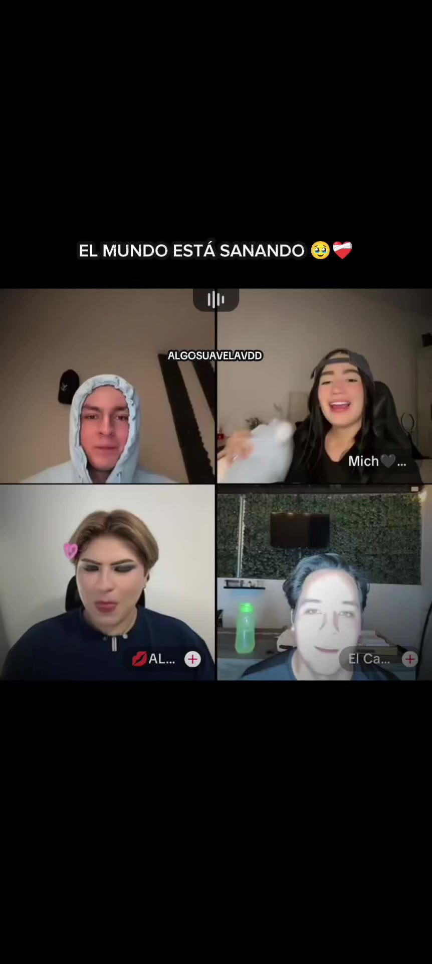 @ALGOSUAVELAVDD 🐿️