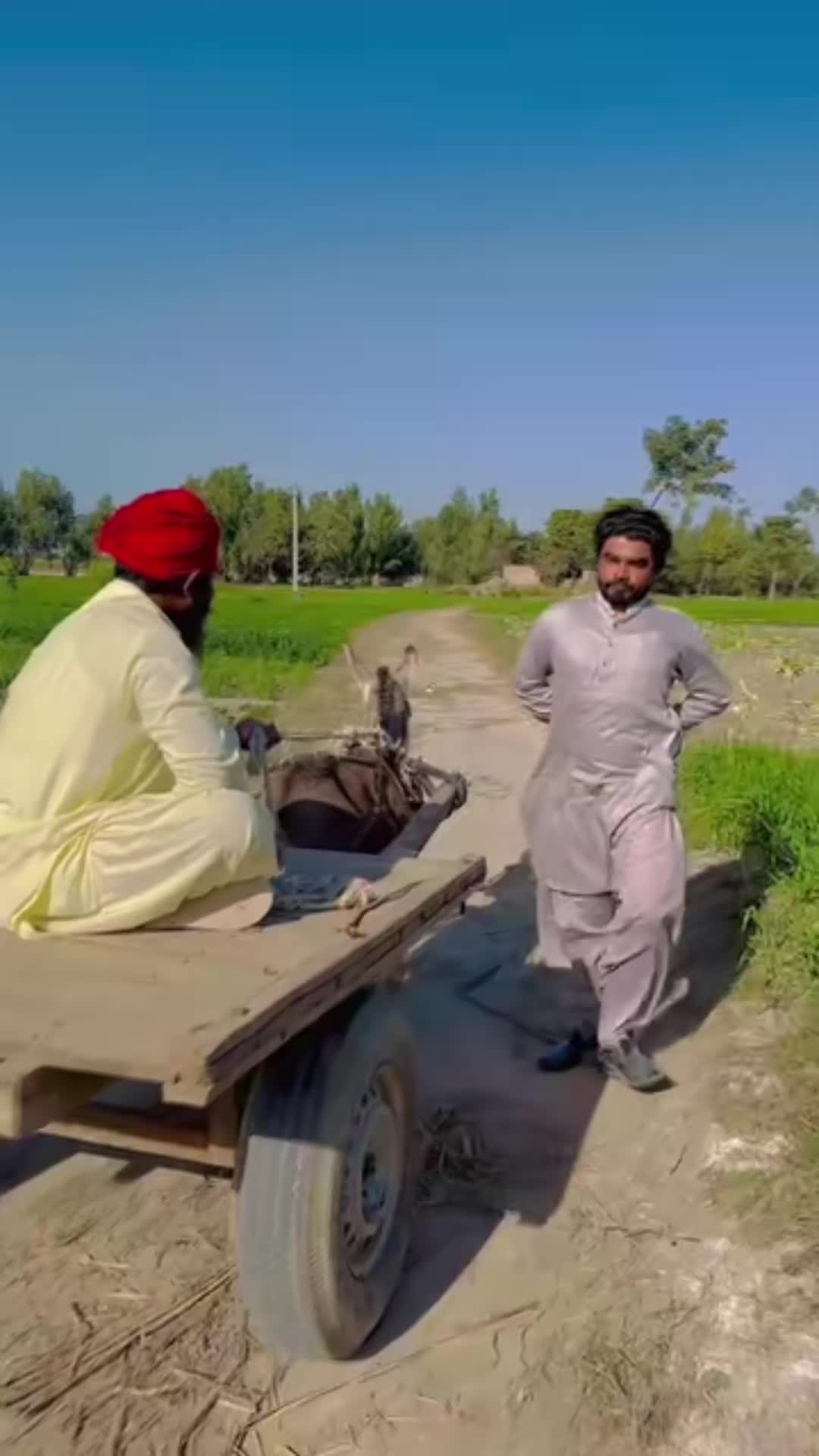 @Dilawar