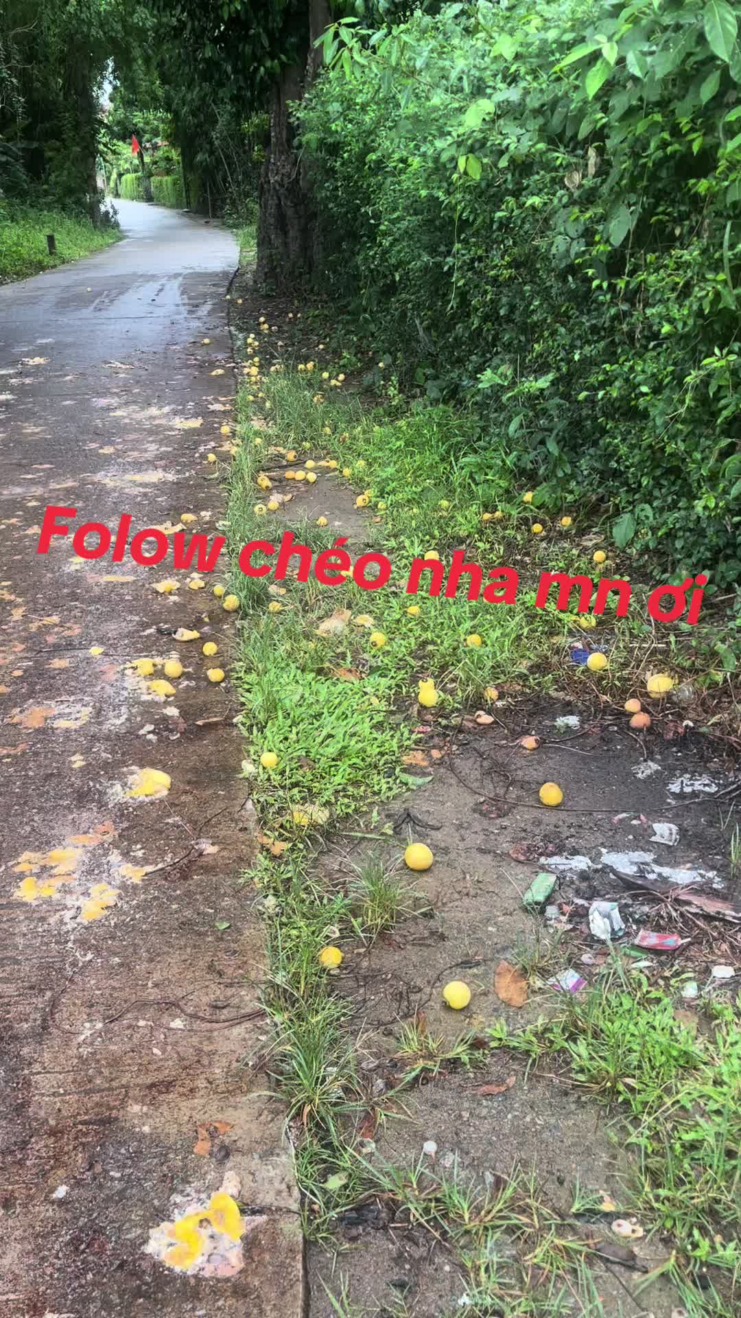 @Ch&eacute;o fl uy t&iacute;n