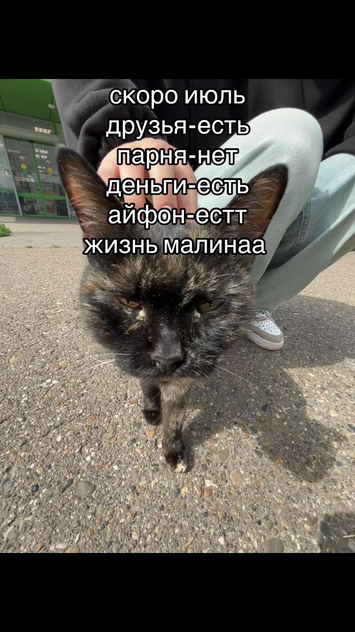 @ралинка💕