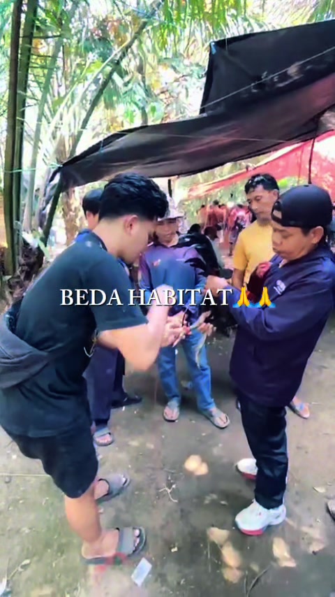 @patrawdjaya_