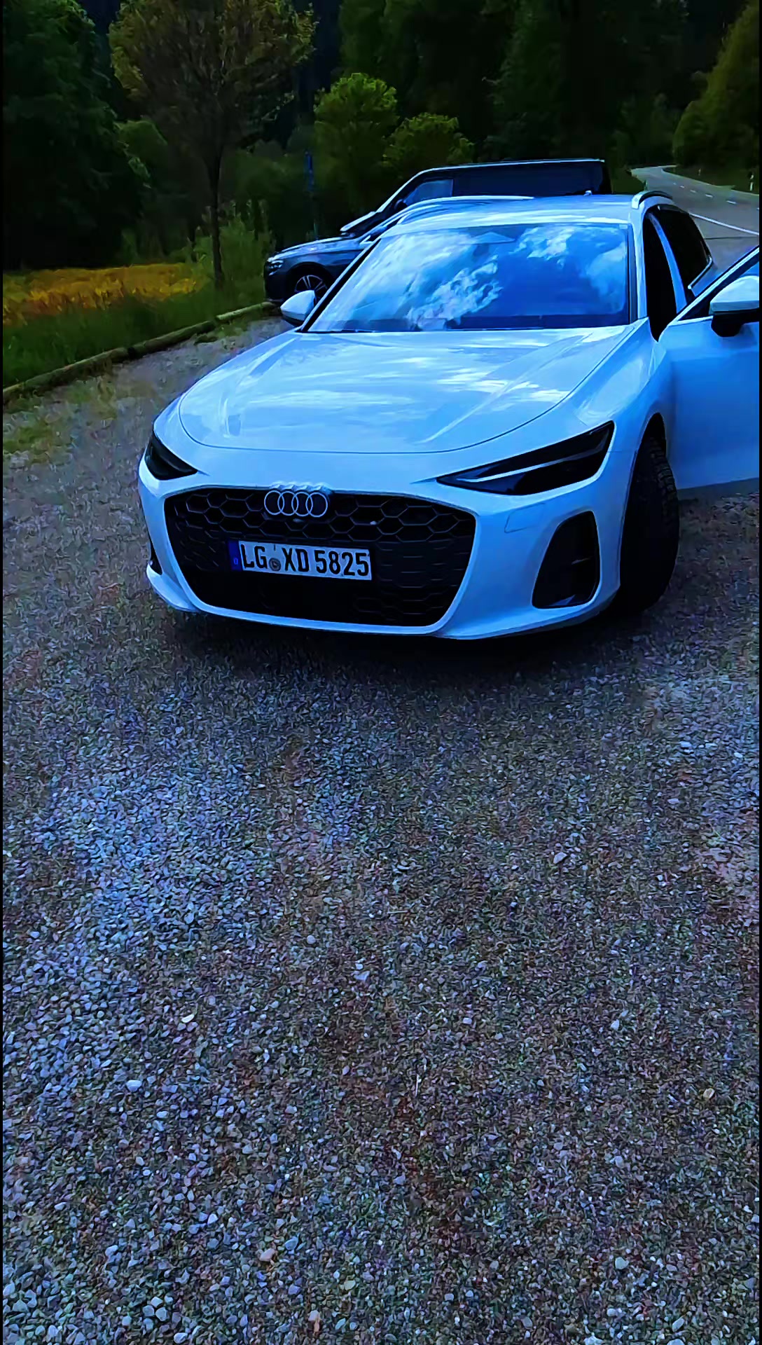 @Коллектор