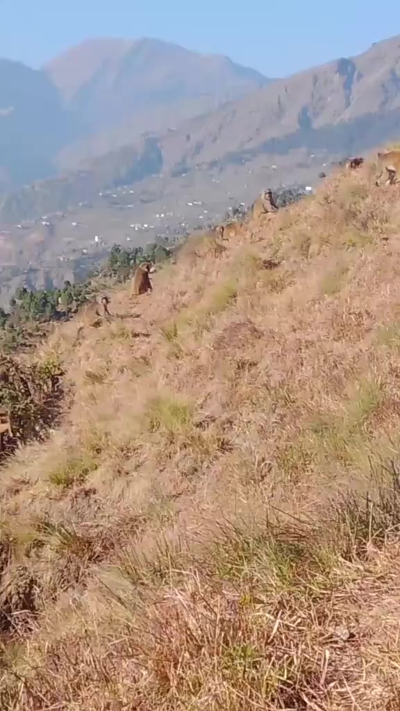 @एक्लि बुहारी ❣️❣️