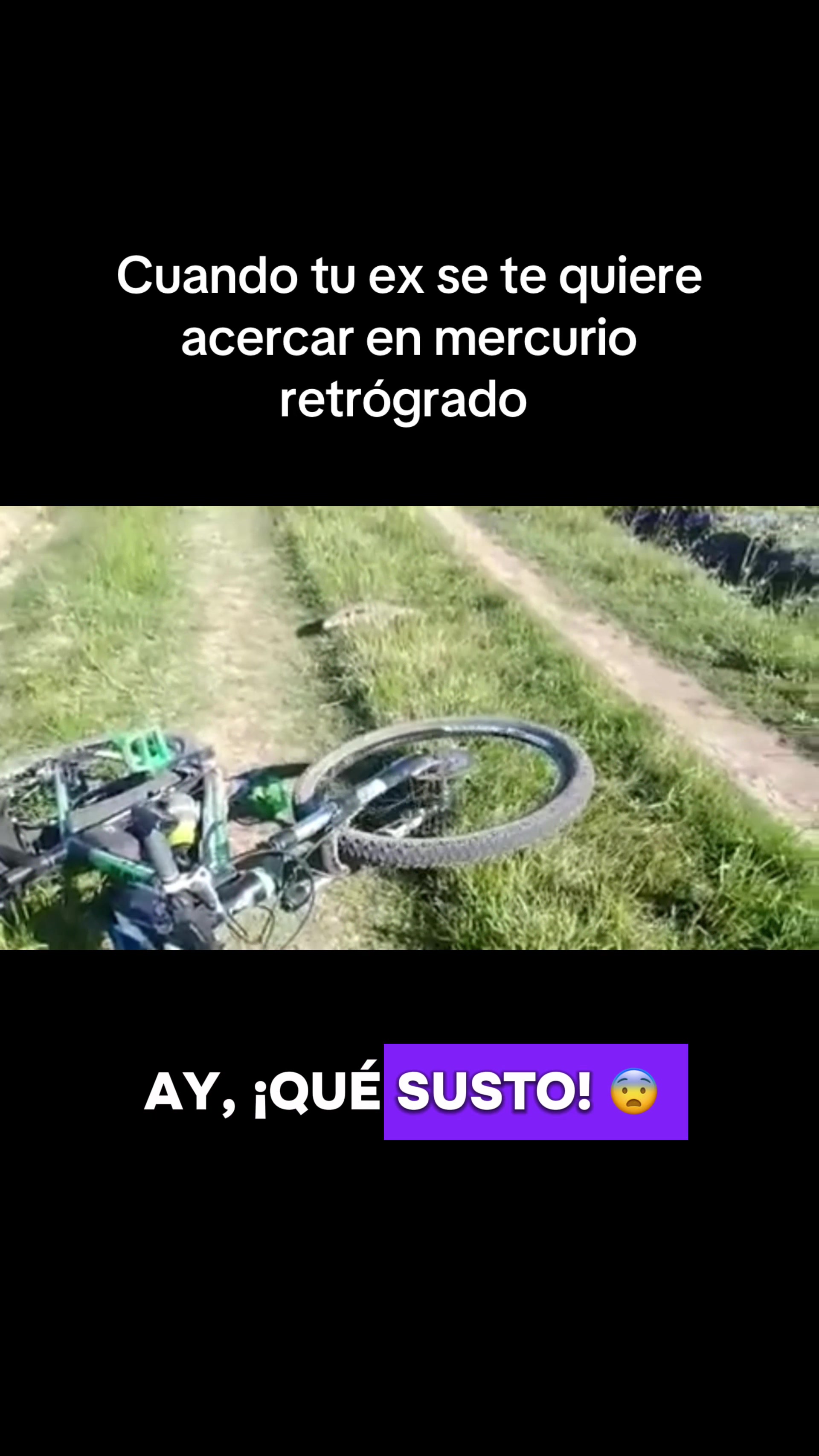 @Gimena Alvarez