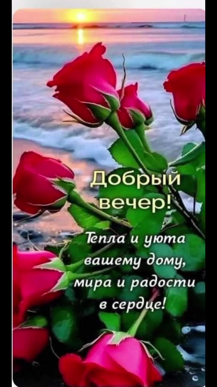 @Ludmila-lips