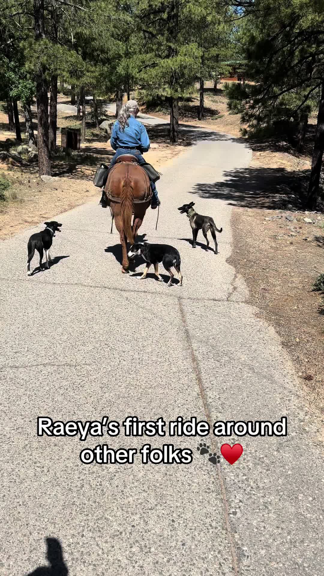 @Classic Cowgirl