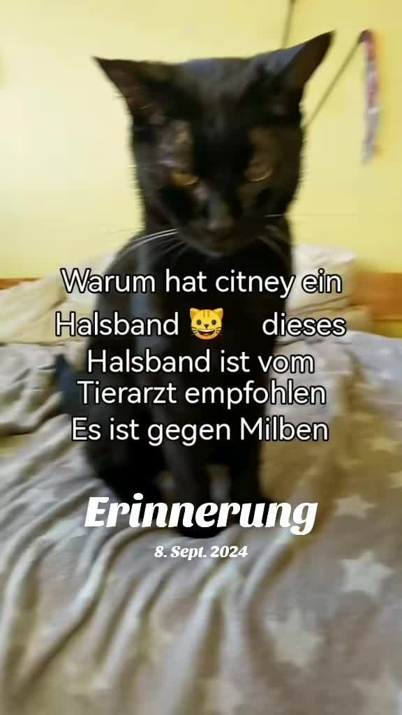 @juli🇩🇪🇺🇸🇷🇺