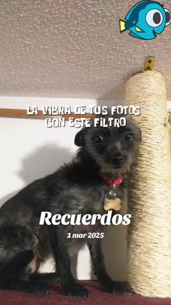 @La Dory y sus amigos