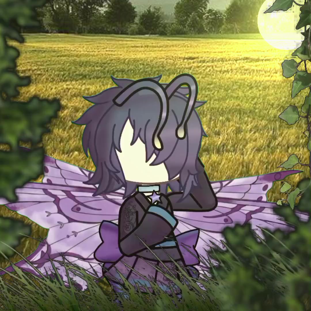 @🪷animation🌸