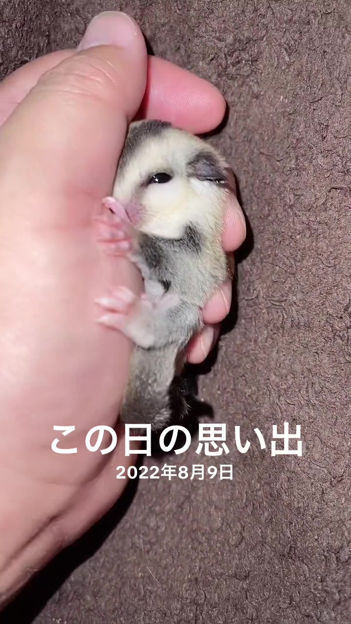 @タク乃MiX