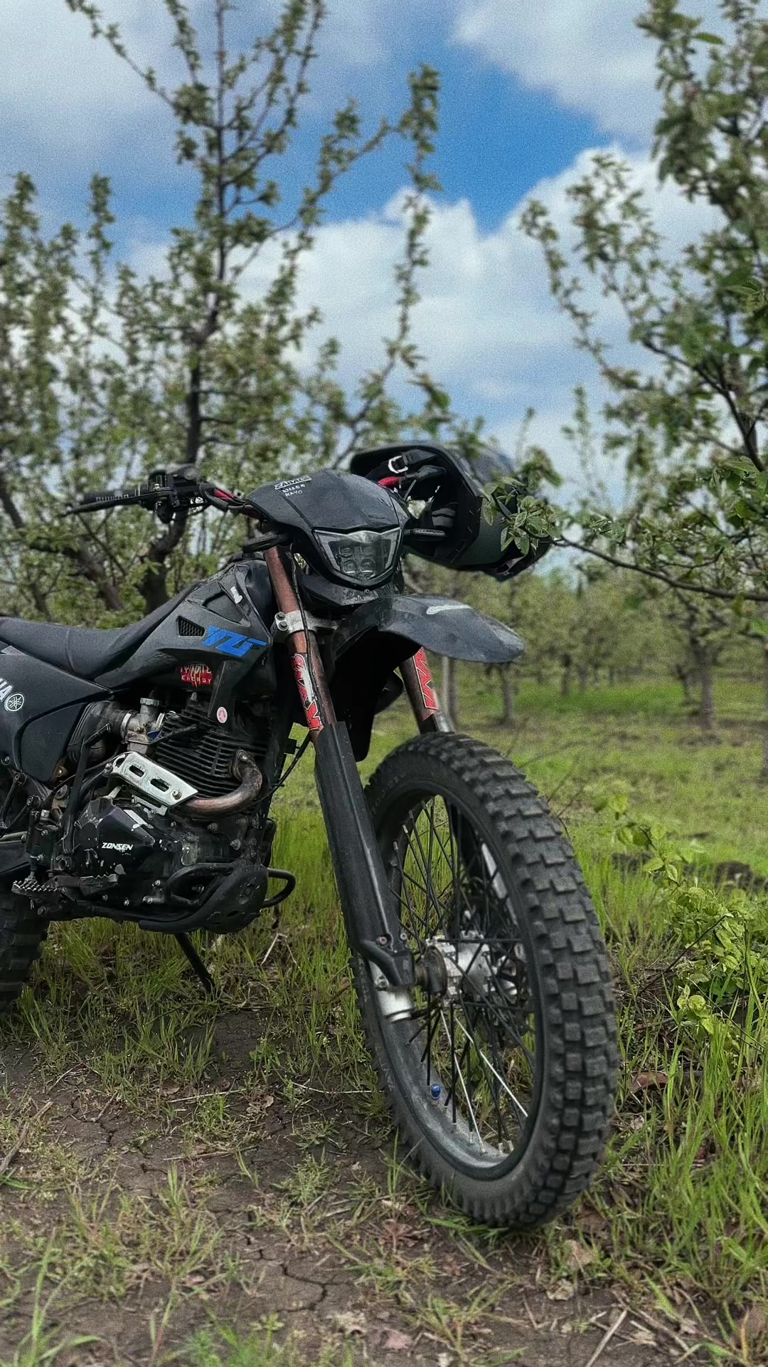 @Zavtur🇦🇱