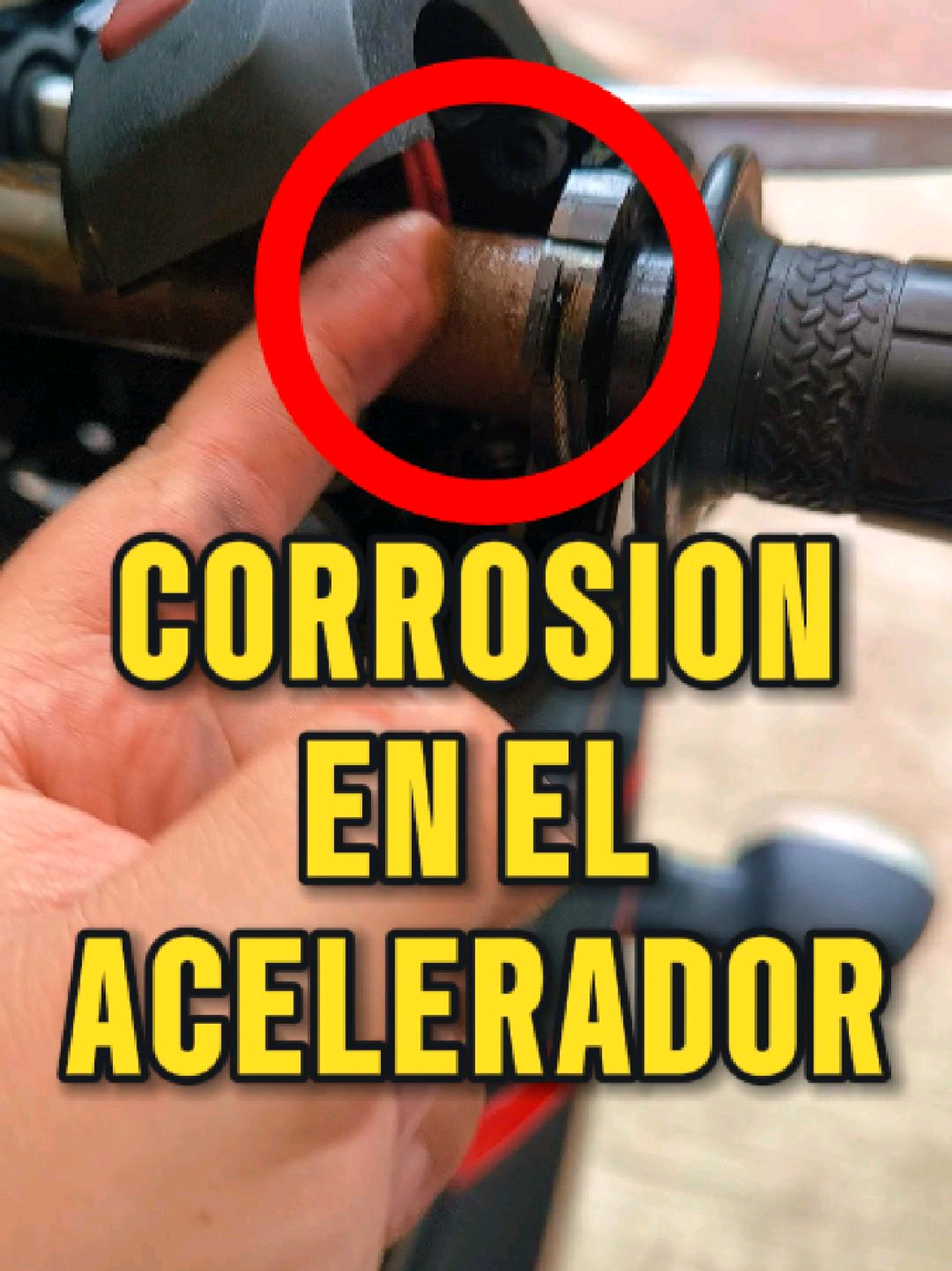 @Llamaha