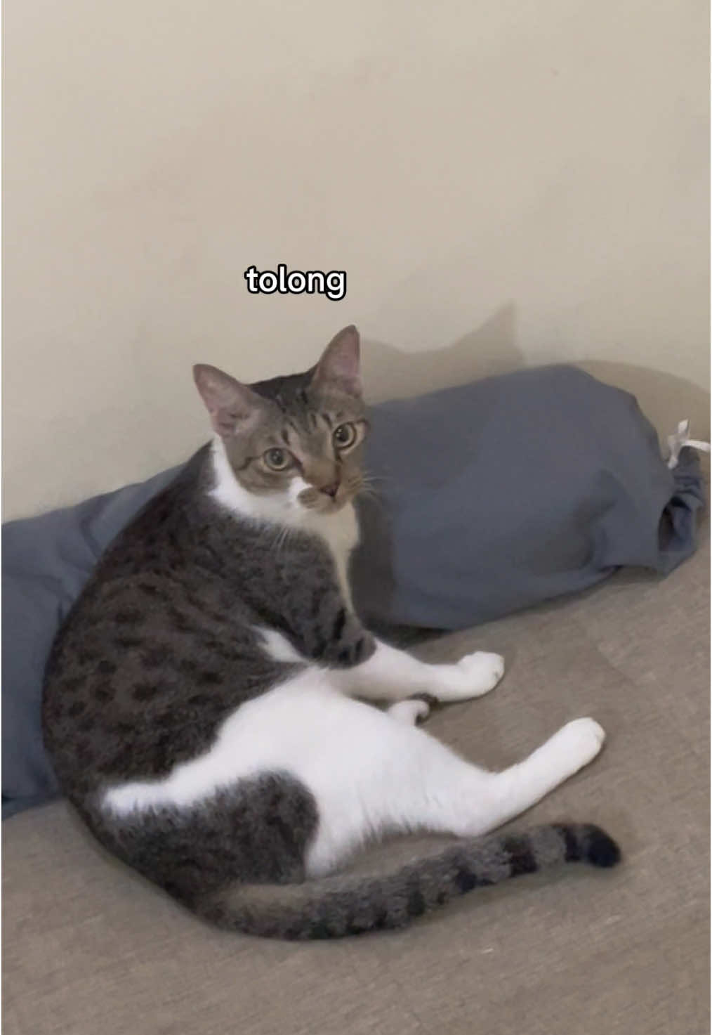 @three_muscateers